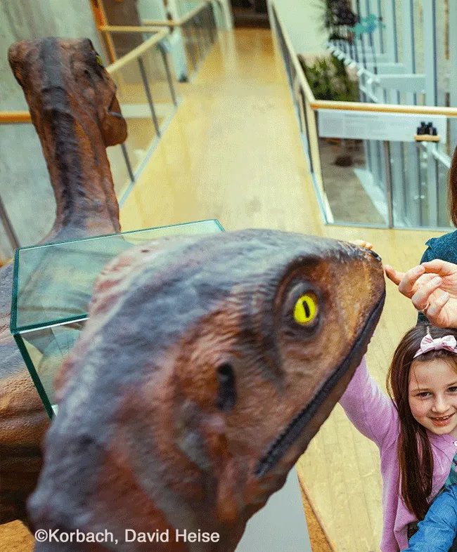 GeoFoyer Kalkturm Korbach